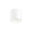 RAY 1.0 GU10