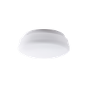 RANA Ø 290