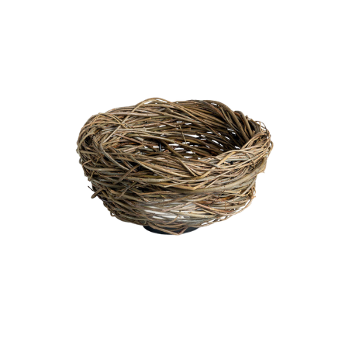 NEST