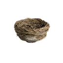 NEST