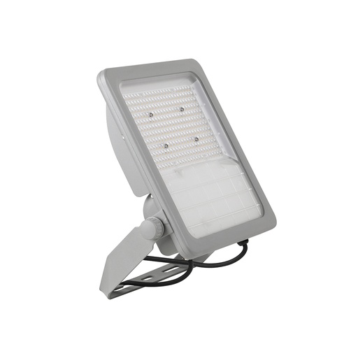 [180-342-40] FORTE LED 100W IP66