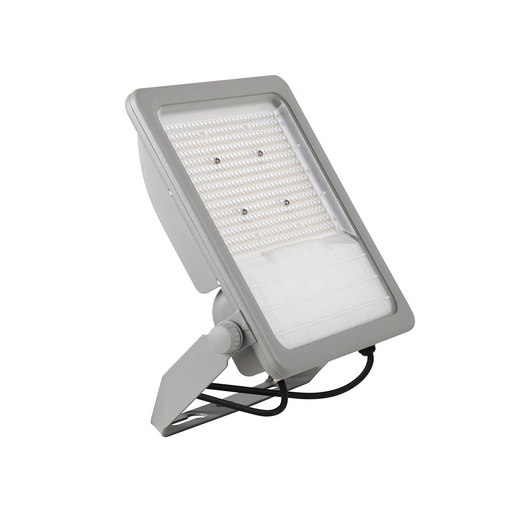 [180-343-40] FORTE LED 150W IP66