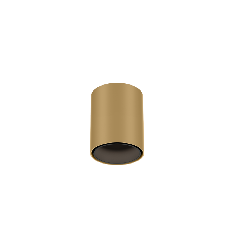 RAY MINI 1.0