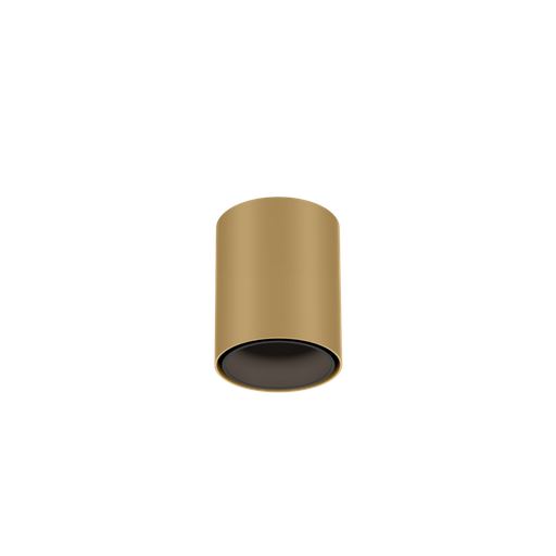 RAY MINI 1.0