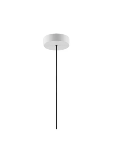 ROSACE DE MONTAGE SINGLE MINI