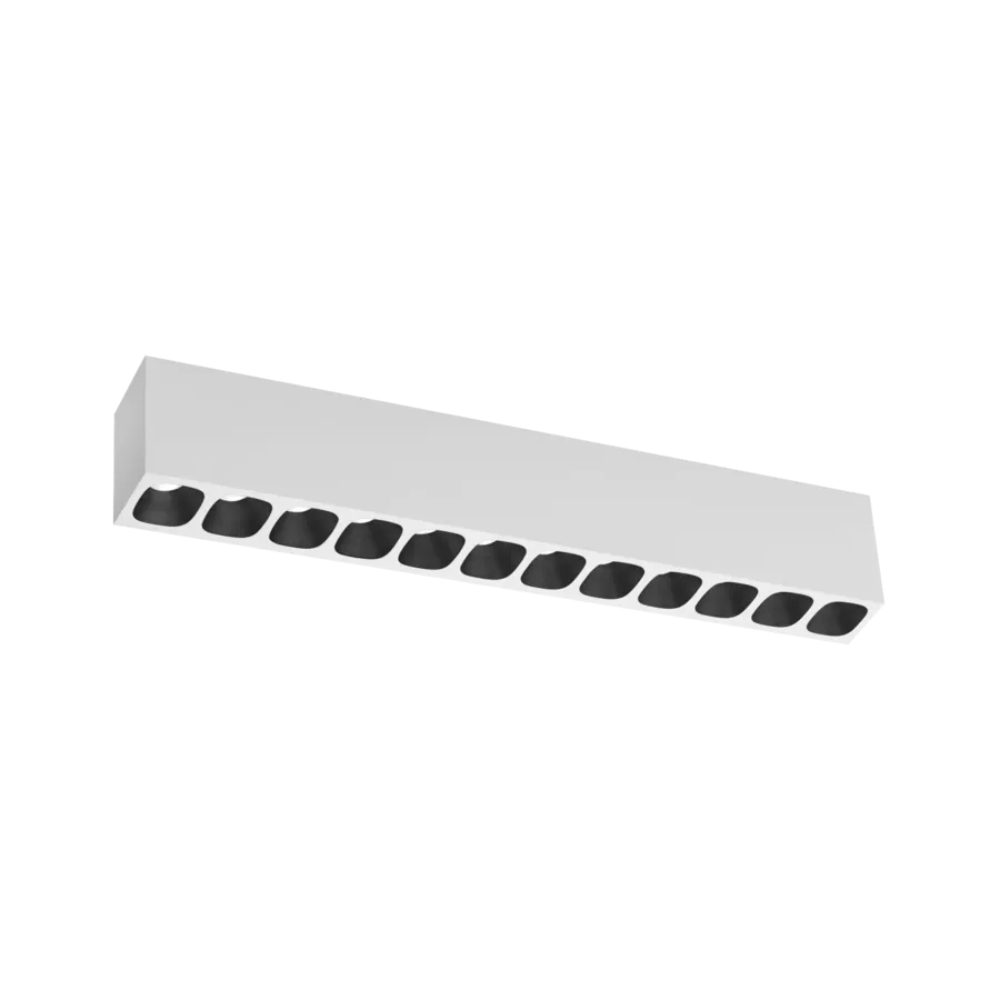 PIRRO PETIT SURFACE 12.0
